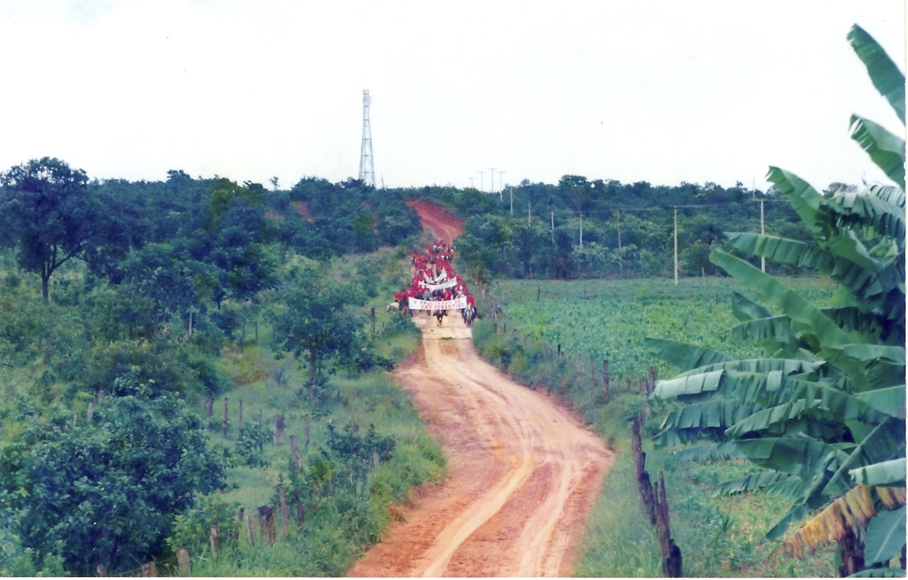 Fotos Antigas de Lagoa dos Patos MG