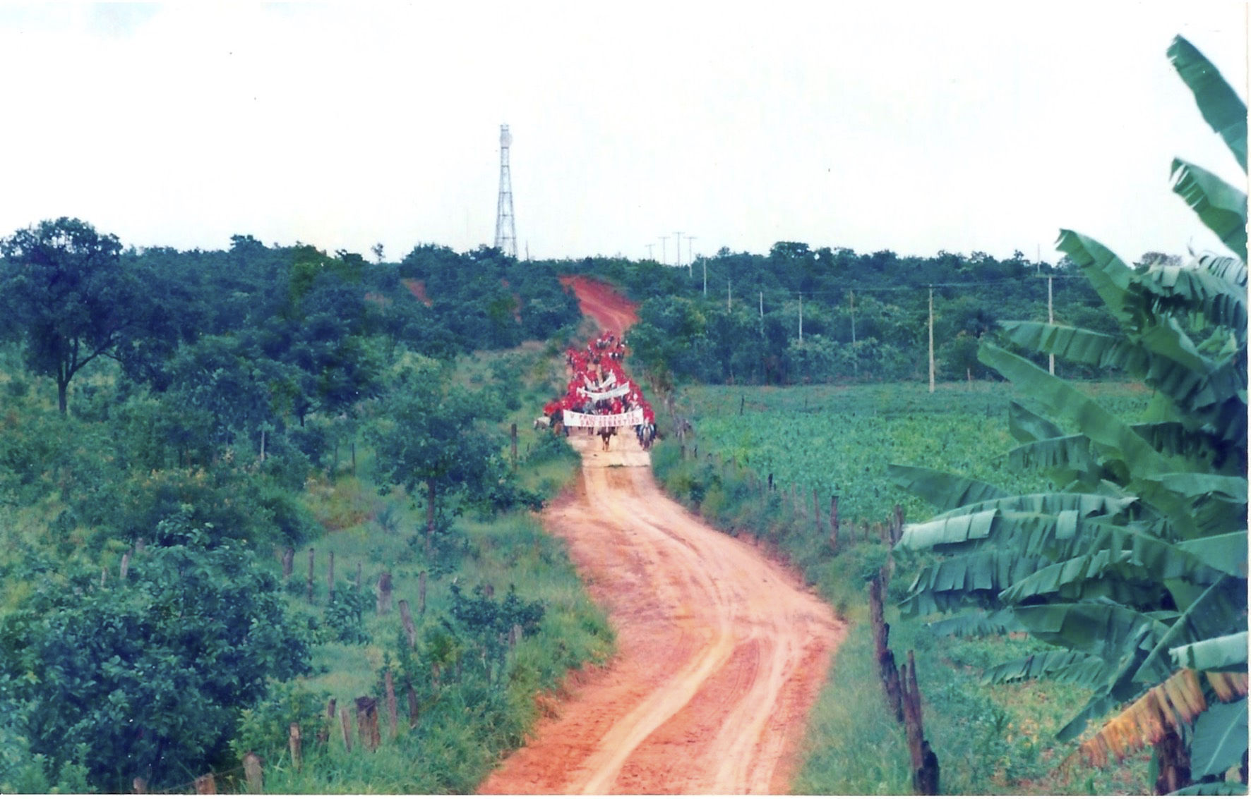 Fotos Antigas de Lagoa dos Patos MG