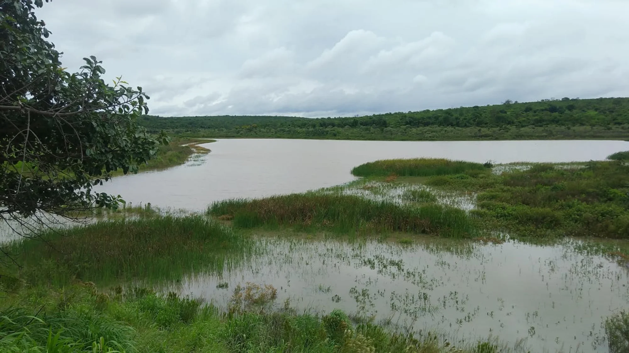 /image/a-historia-da-barragem-da-lagoa-a-origem-do-nome-de-lagoa-dos-patos-mg?src=https%3A%2F%2Fimg1.pixhost.to%2Fimages%2F10747%2F669620852_barragem-lagoa-dos-patos-mg-2022-2.jpg&w=2000&q=85