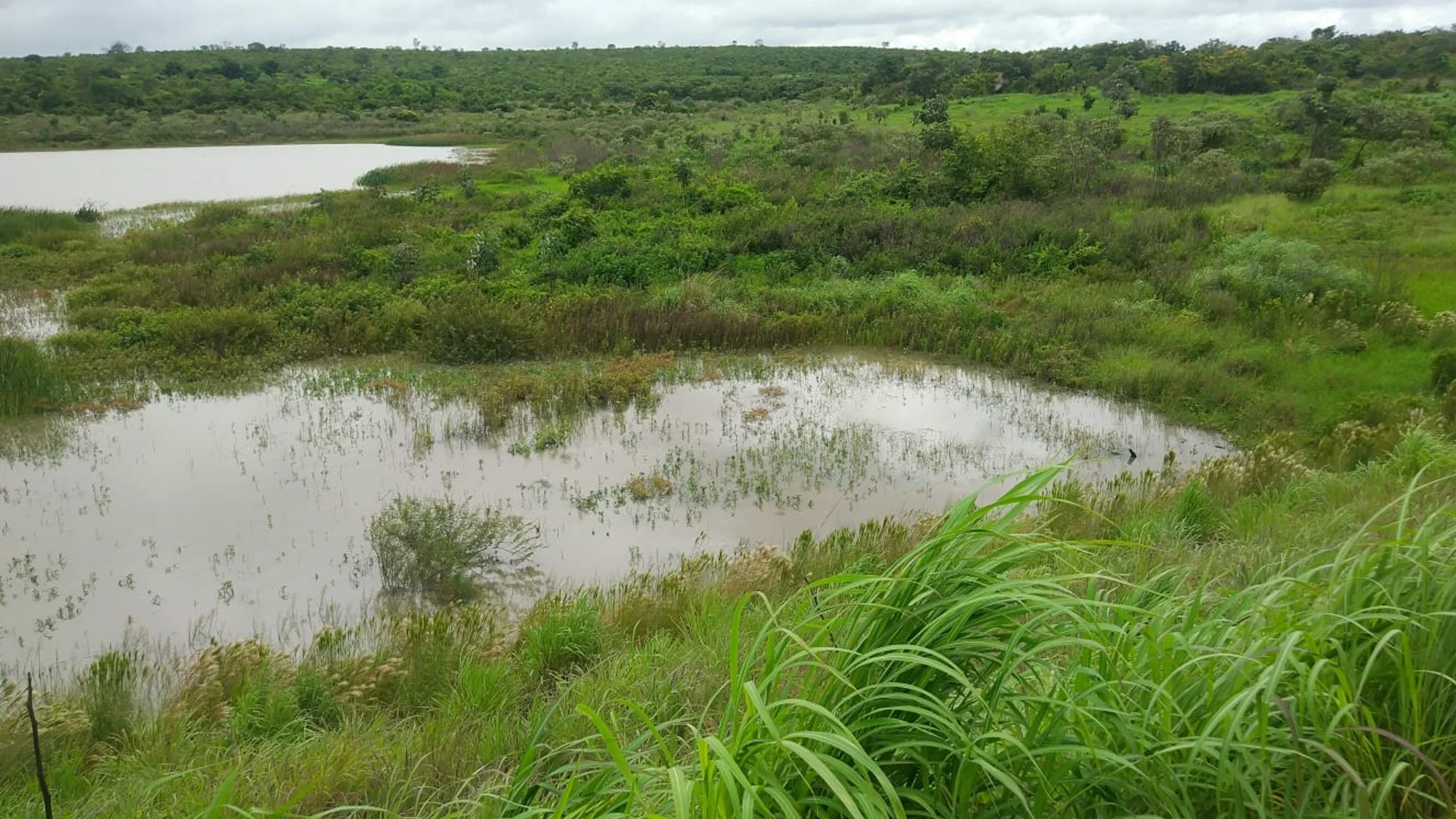 /image/a-historia-da-barragem-da-lagoa-a-origem-do-nome-de-lagoa-dos-patos-mg?src=https%3A%2F%2Fimg1.pixhost.to%2Fimages%2F10747%2F669620856_barragem-lagoa-dos-patos-mg-2022-3.jpg&w=2000&q=85