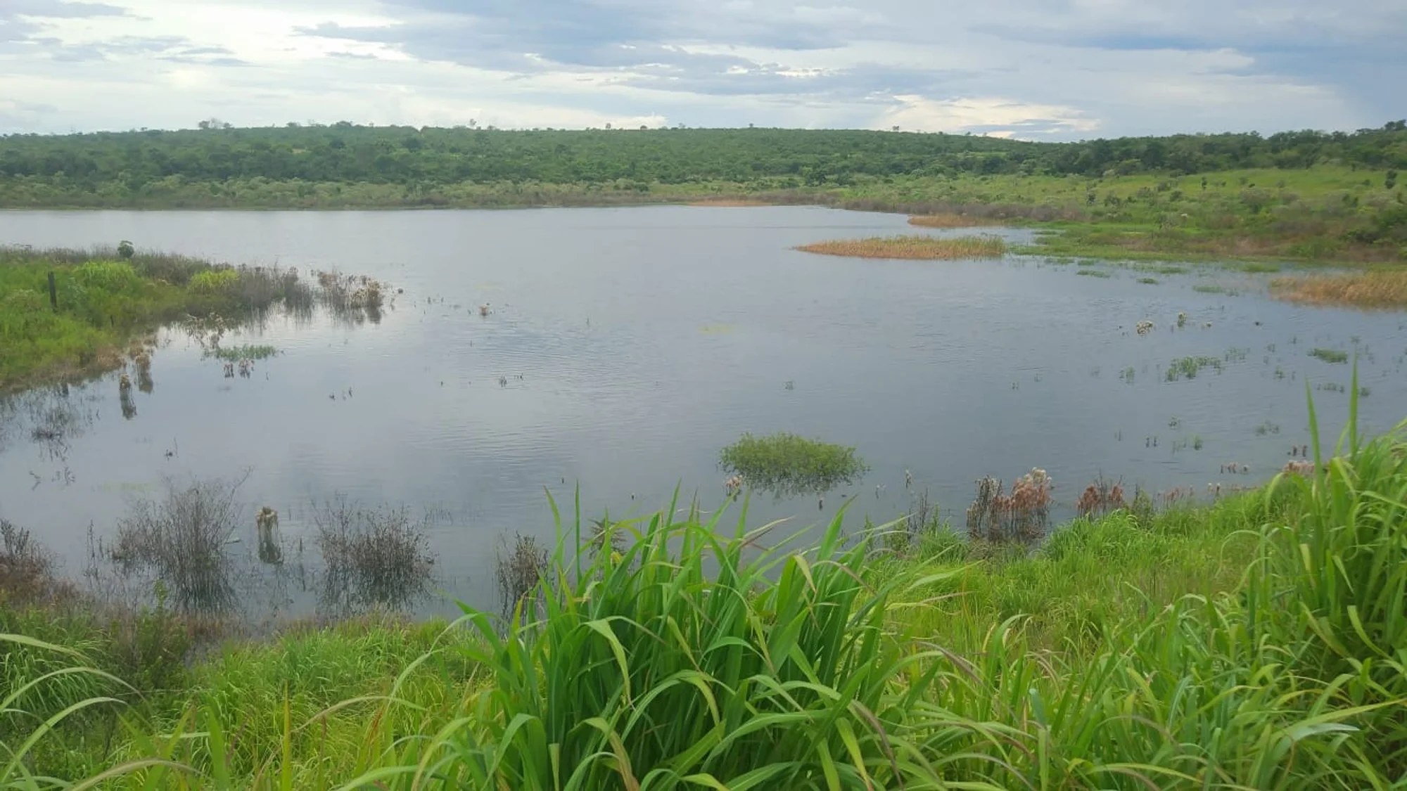 /image/a-historia-da-barragem-da-lagoa-a-origem-do-nome-de-lagoa-dos-patos-mg?src=https%3A%2F%2Fimg1.pixhost.to%2Fimages%2F10747%2F669620859_barragem-lagoa-dos-patos-mg-2022-5.jpg&w=2000&q=85