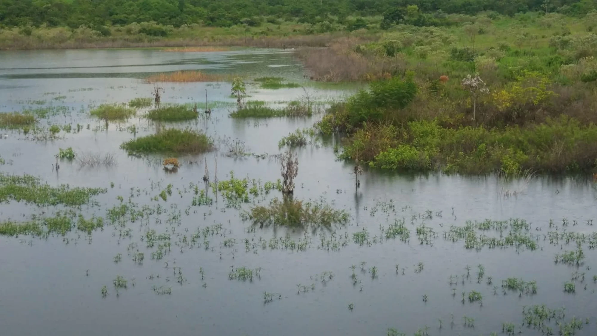 /image/a-historia-da-barragem-da-lagoa-a-origem-do-nome-de-lagoa-dos-patos-mg?src=https%3A%2F%2Fimg1.pixhost.to%2Fimages%2F10747%2F669620867_barragem-lagoa-dos-patos-mg-2022-8.jpg&w=2000&q=85
