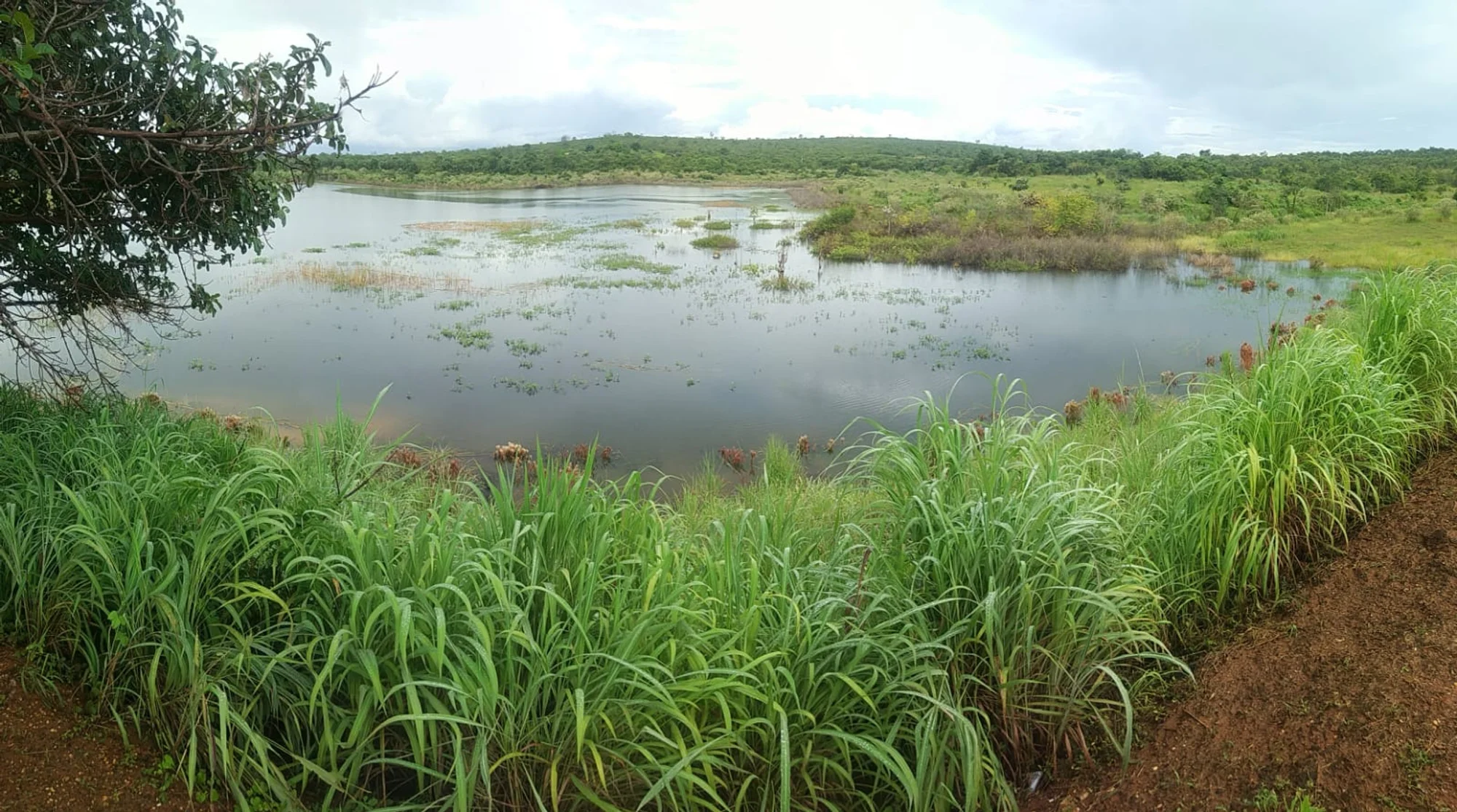 /image/a-historia-da-barragem-da-lagoa-a-origem-do-nome-de-lagoa-dos-patos-mg?src=https%3A%2F%2Fimg1.pixhost.to%2Fimages%2F10747%2F669620871_barragem-lagoa-dos-patos-mg-2022-10.jpg&w=2000&q=85