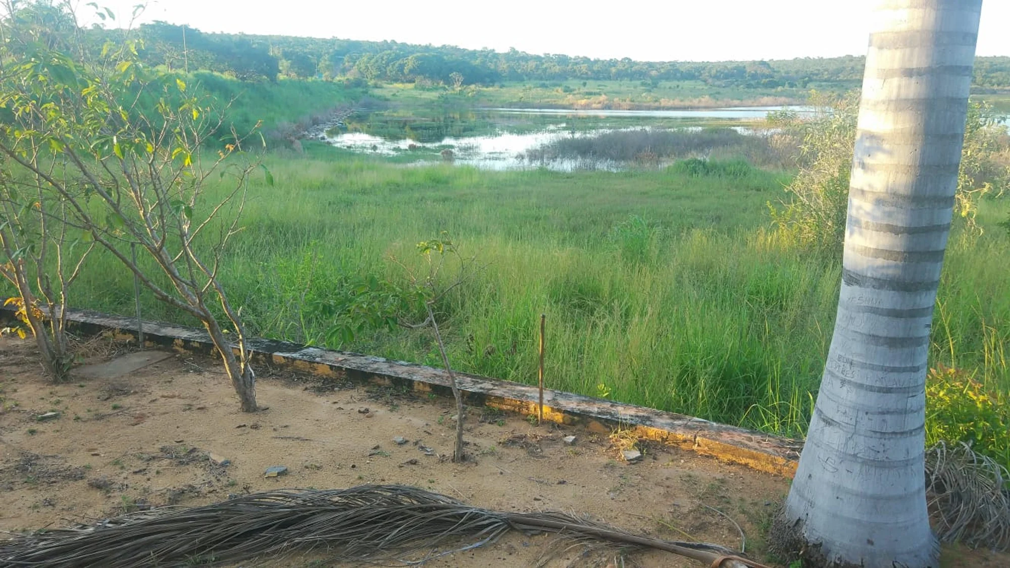 /image/a-historia-da-barragem-da-lagoa-a-origem-do-nome-de-lagoa-dos-patos-mg?src=https%3A%2F%2Fimg1.pixhost.to%2Fimages%2F10747%2F669620876_barragem-lagoa-dos-patos-mg-2022-11.jpg&w=2000&q=85