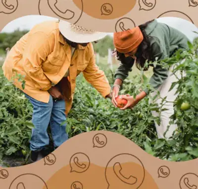 Imagem de destaque do curso Associativismo e cooperativismo: a união faz a força