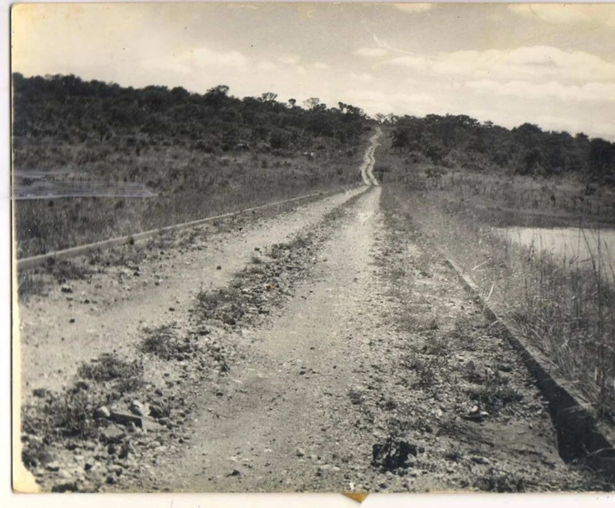 /image/fotos-antigas-lagoa-dos-patos-mg-em-memorias?src=https%3A%2F%2Fimg1.pixhost.to%2Fimages%2F10289%2F662749843_fotos-antigas-lagoa-dos-patos-mg-11.jpg&w=2000&q=85