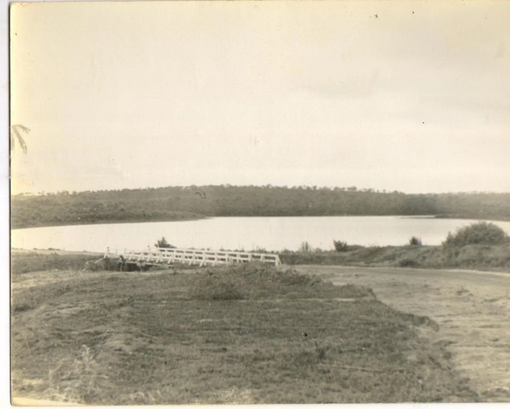 /image/fotos-antigas-lagoa-dos-patos-mg-em-memorias?src=https%3A%2F%2Fimg1.pixhost.to%2Fimages%2F10289%2F662749844_fotos-antigas-lagoa-dos-patos-mg-12.jpg&w=2000&q=85