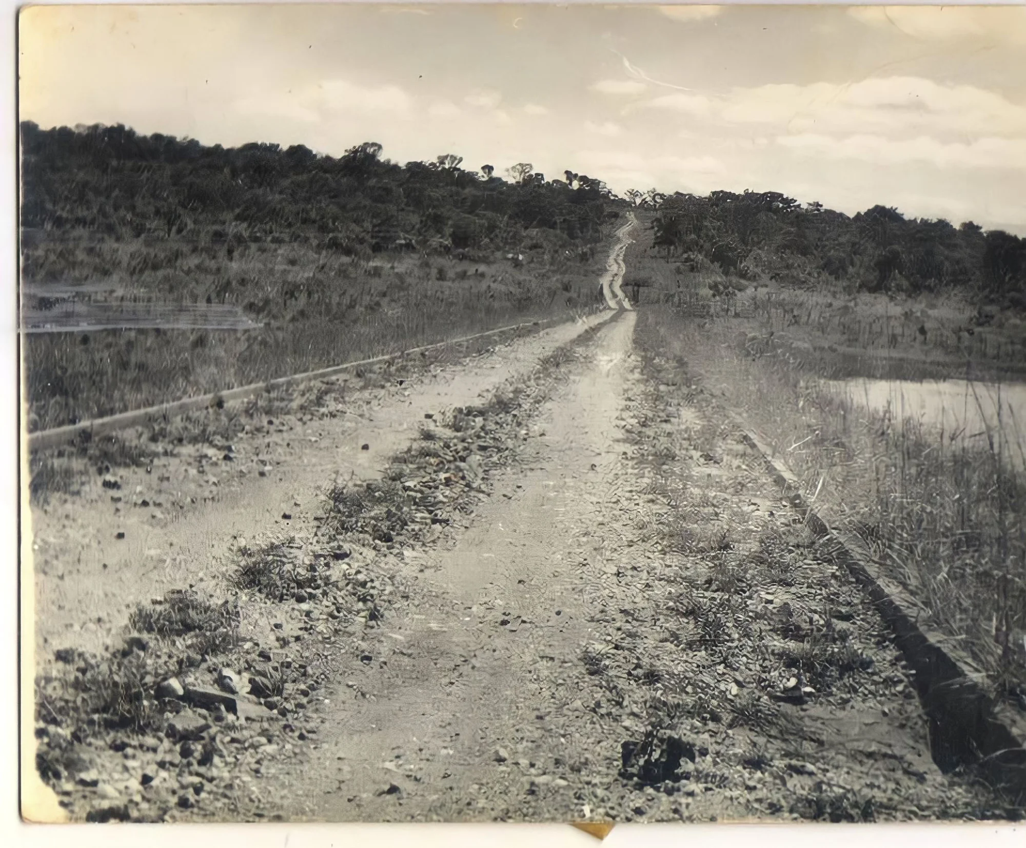 /image/fotos-antigas-lagoa-dos-patos-mg-em-memorias?src=https%3A%2F%2Fimg1.pixhost.to%2Fimages%2F10289%2F662749852_fotos-antigas-lagoa-dos-patos-mg-2.jpg&w=2000&q=85