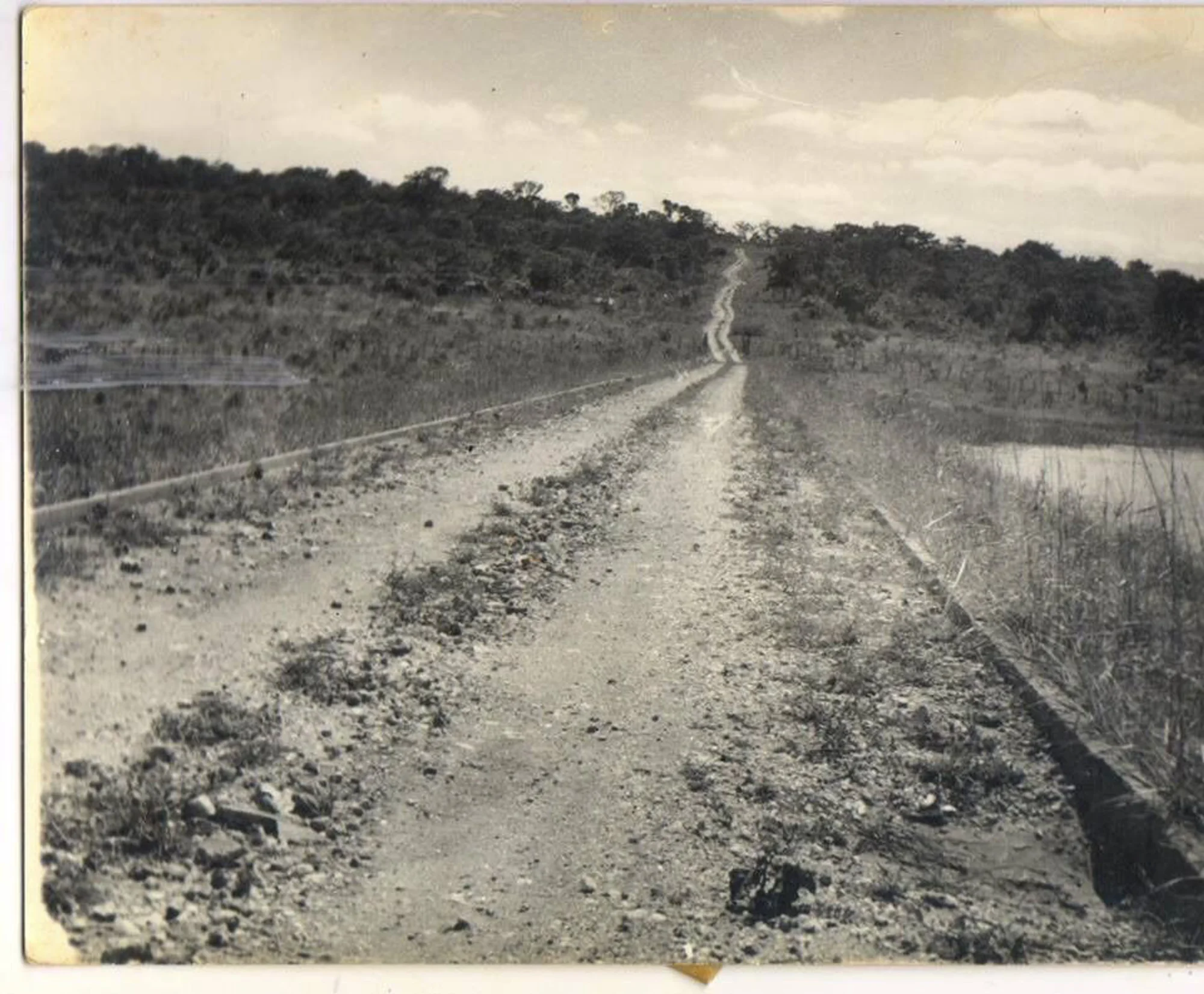 /image/fotos-antigas-lagoa-dos-patos-mg-em-memorias?src=https%3A%2F%2Fimg1.pixhost.to%2Fimages%2F10289%2F662750069_fotos-antigas-lagoa-dos-patos-mg-11.jpg&w=2000&q=85