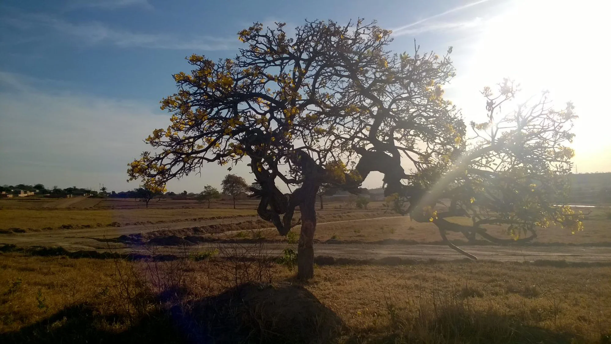 /image/fotos-antigas-lagoa-dos-patos-mg-em-memorias?src=https%3A%2F%2Fimg1.pixhost.to%2Fimages%2F10289%2F662750093_fotos-antigas-lagoa-dos-patos-mg-26.jpg&w=2000&q=85