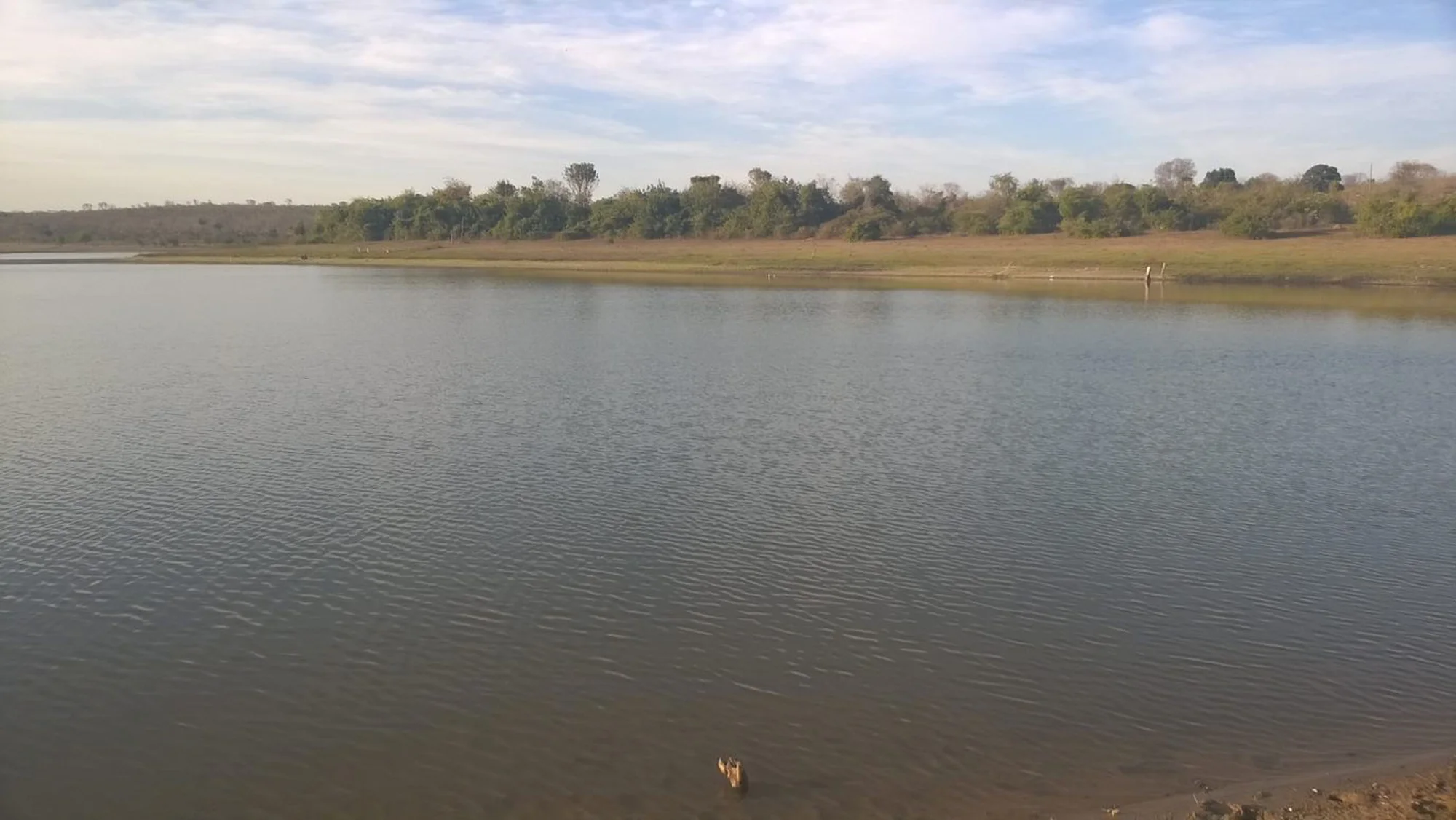 /image/fotos-antigas-lagoa-dos-patos-mg-em-memorias?src=https%3A%2F%2Fimg1.pixhost.to%2Fimages%2F10289%2F662750095_fotos-antigas-lagoa-dos-patos-mg-27.jpg&w=2000&q=85