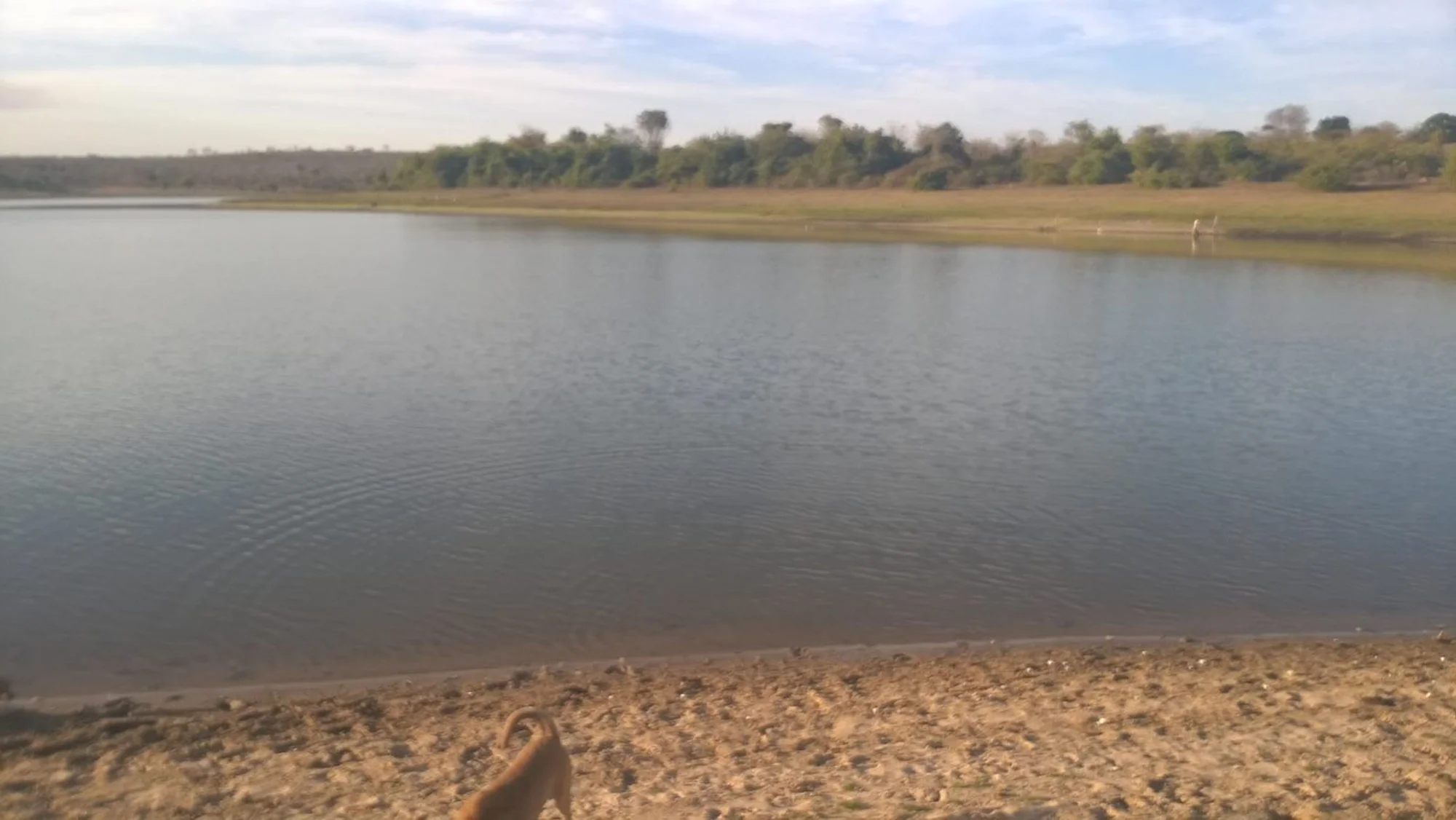 /image/fotos-antigas-lagoa-dos-patos-mg-em-memorias?src=https%3A%2F%2Fimg1.pixhost.to%2Fimages%2F10289%2F662750112_fotos-antigas-lagoa-dos-patos-mg-29.jpg&w=2000&q=85