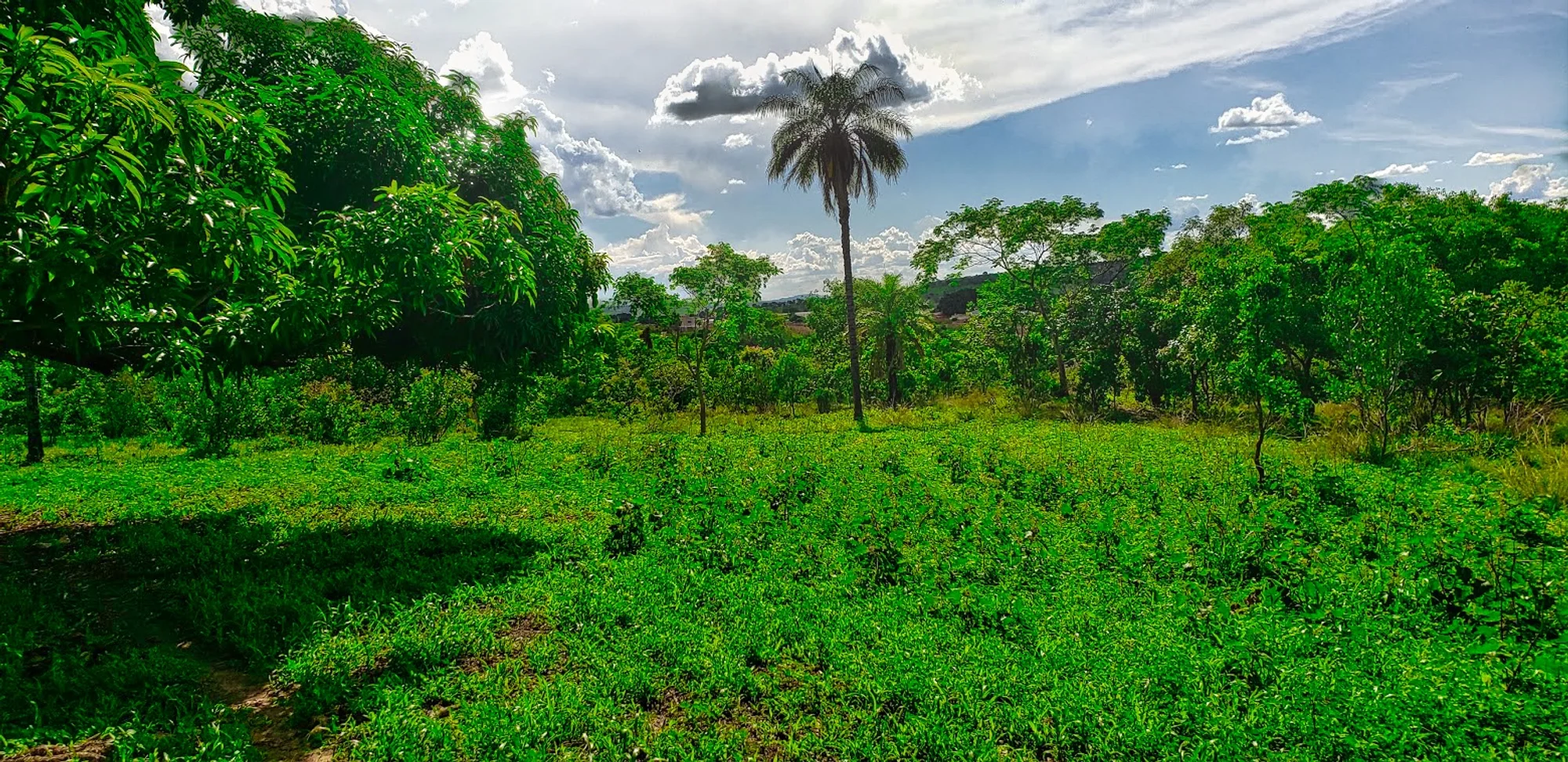 /image/fotos-antigas-lagoa-dos-patos-mg-em-memorias?src=https%3A%2F%2Fimg1.pixhost.to%2Fimages%2F10289%2F662750298_zona-rural-lagoa-dos-patos-mg-2023.jpg&w=2000&q=85