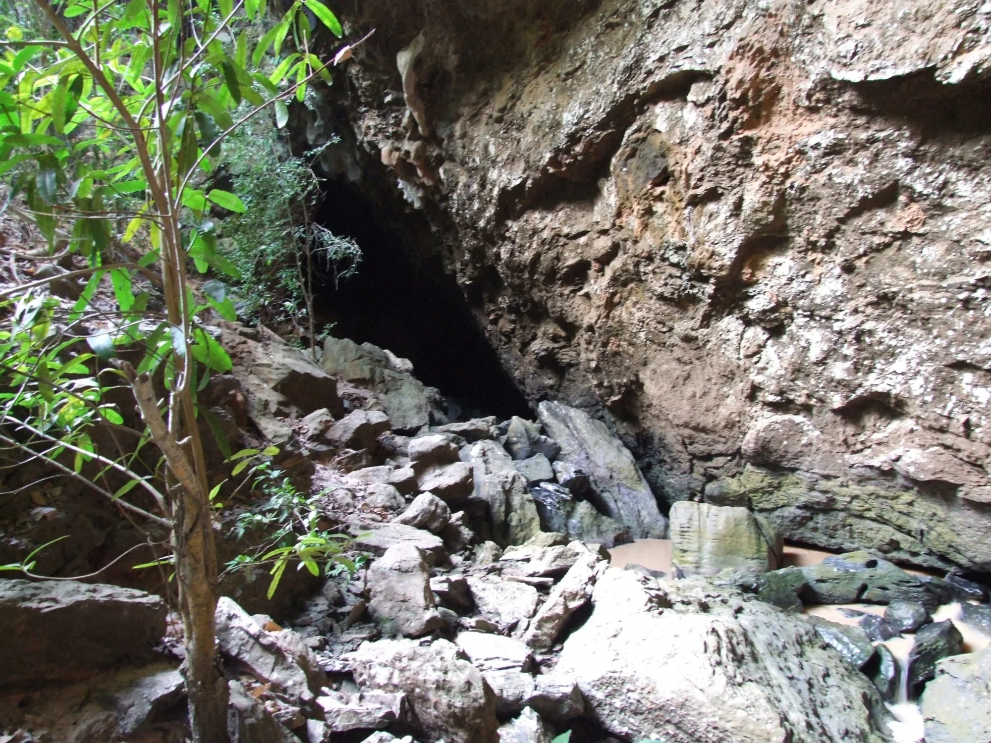 /image/fotos-antigas-lagoa-dos-patos-mg-em-memorias?src=https%3A%2F%2Fimg1.pixhost.to%2Fimages%2F10735%2F669473675_lagoa-dos-patos-mg-fotos-6.jpg&w=2000&q=85