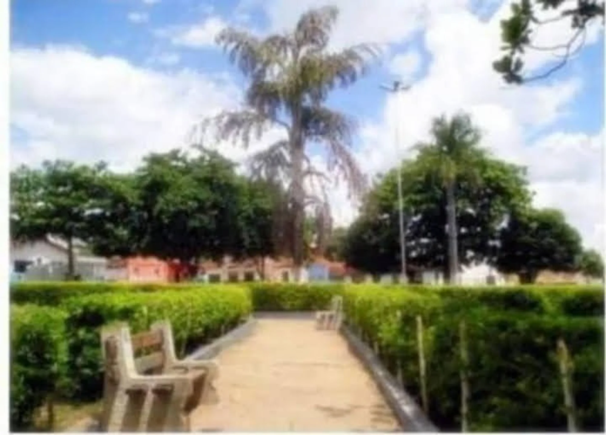 /image/fotos-antigas-lagoa-dos-patos-mg-em-memorias?src=https%3A%2F%2Fimg1.pixhost.to%2Fimages%2F10853%2F670787380_photo_2024-10-25_11-14-40.jpg&w=2000&q=85