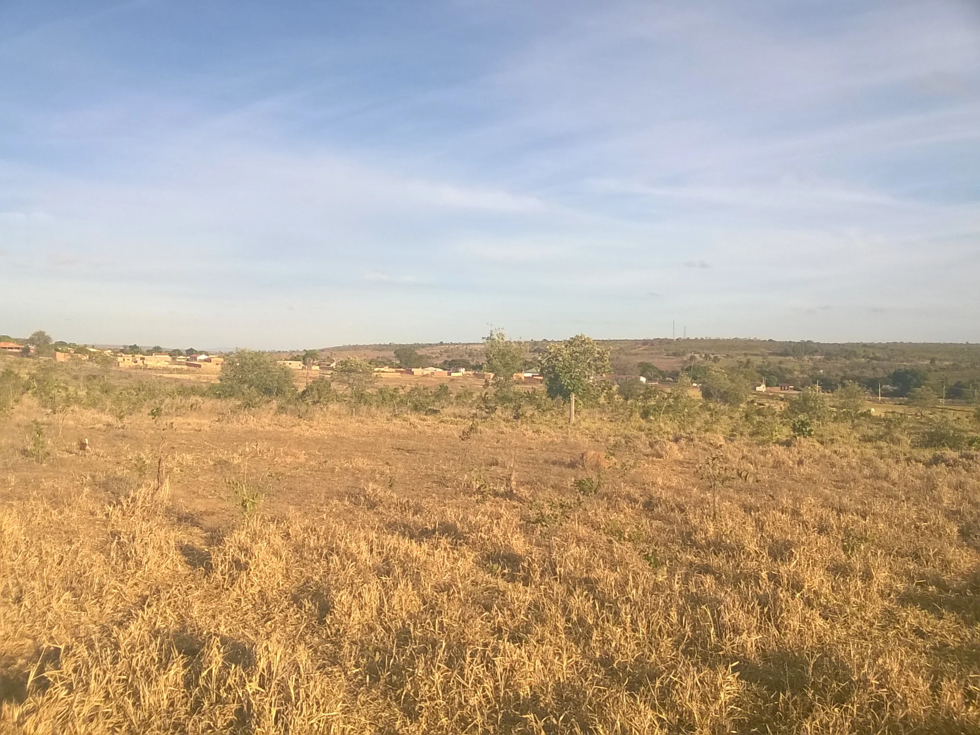 /image/fotos-antigas-lagoa-dos-patos-mg-em-memorias?src=https%3A%2F%2Fimg1.pixhost.to%2Fimages%2F11428%2F680879068_lagoa-dos-patos-mg-21.jpg&w=2000&q=85