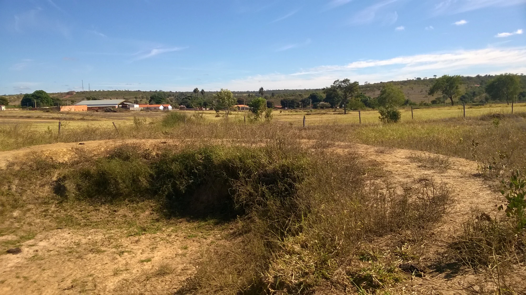 /image/fotos-antigas-lagoa-dos-patos-mg-em-memorias?src=https%3A%2F%2Fimg1.pixhost.to%2Fimages%2F11428%2F680879168_lagoa-dos-patos-mg-7.jpg&w=2000&q=85