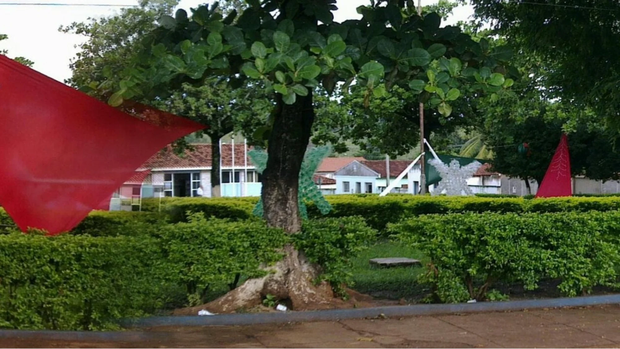 /image/fotos-antigas-lagoa-dos-patos-mg-em-memorias?src=https%3A%2F%2Fimg1.pixhost.to%2Fimages%2F11691%2F685943680_fotos-antigas-lagoa-dos-patos-mg-8.jpg&w=2000&q=85