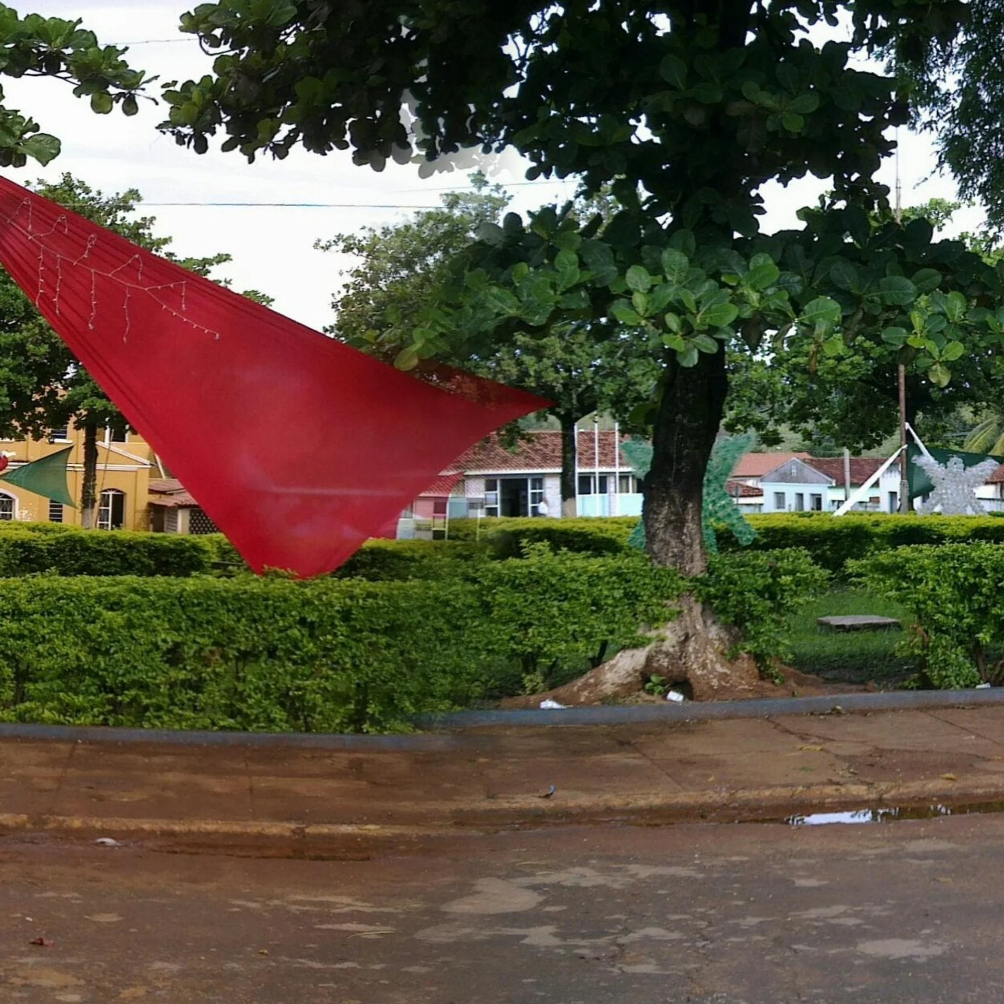 /image/fotos-antigas-lagoa-dos-patos-mg-em-memorias?src=https%3A%2F%2Fimg1.pixhost.to%2Fimages%2F11691%2F685943704_fotos-antigas-lagoa-dos-patos-mg-16.jpg&w=2000&q=85