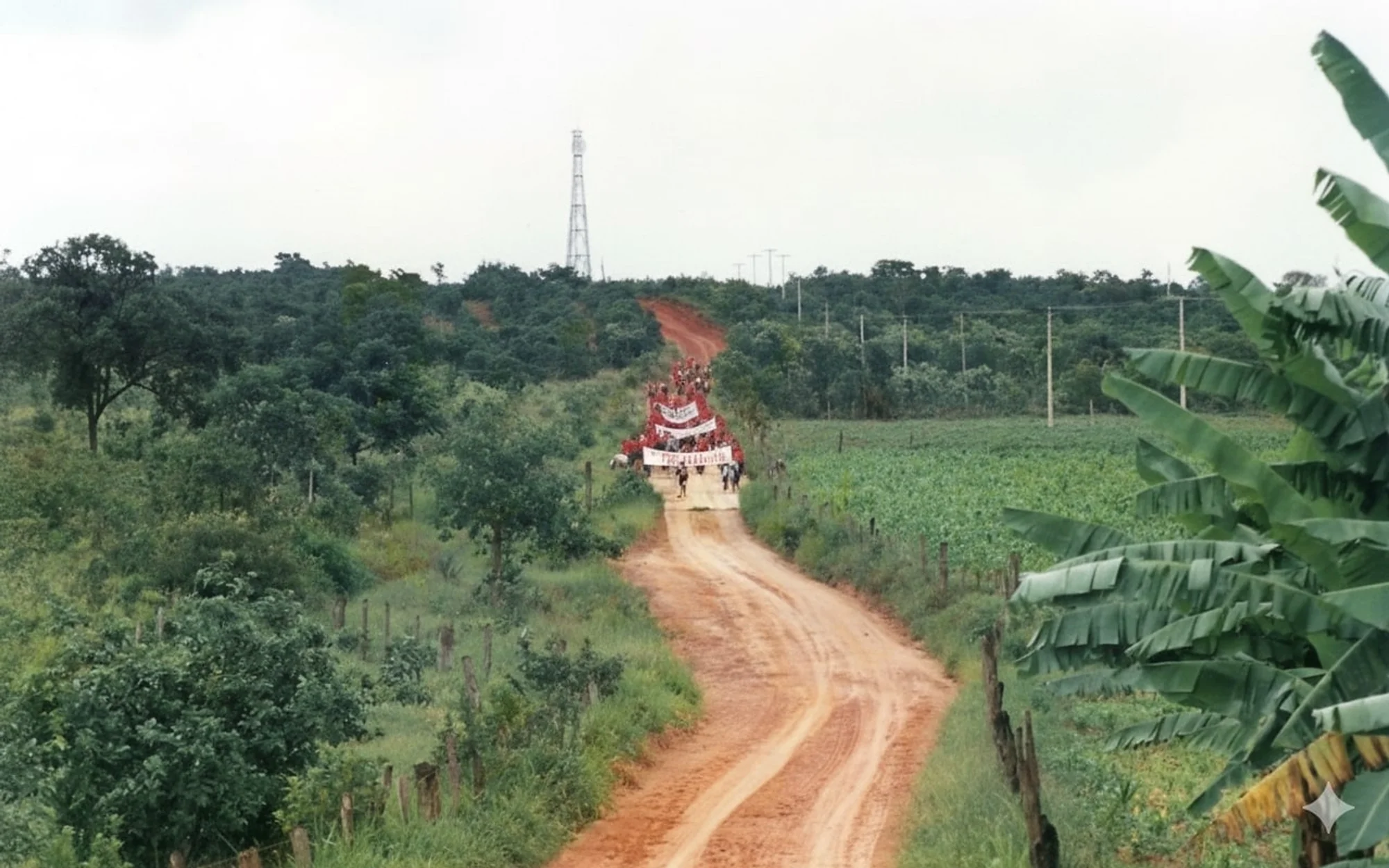 /image/lagoa-dos-patos-em-memoria-fotos-antigas-resgatam-a-historia-da-cidade?src=https%3A%2F%2Fwww.salamineira.com%2Flagoa%2Flagoa-fotos-antigas-3.jpg&w=2000&q=85